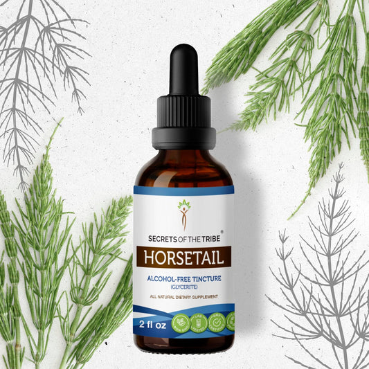 Secrets Of The Tribe Horsetail Tincture buy online 