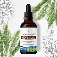 Load image into Gallery viewer, Secrets Of The Tribe Horsetail Tincture buy online 