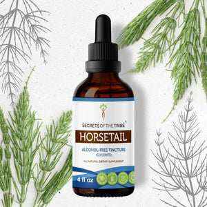 Secrets Of The Tribe Horsetail Tincture buy online 