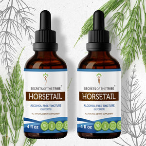 Secrets Of The Tribe Horsetail Tincture buy online 