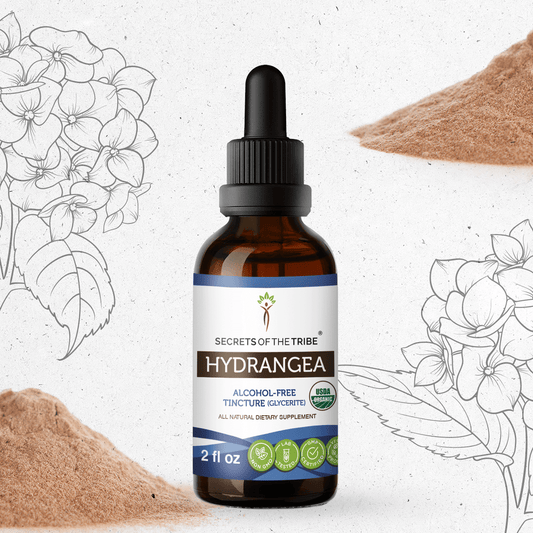 Secrets Of The Tribe Hydrangea Tincture buy online 