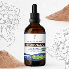 Load image into Gallery viewer, Secrets Of The Tribe Hydrangea Tincture buy online 