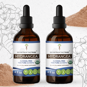 Secrets Of The Tribe Hydrangea Tincture buy online 