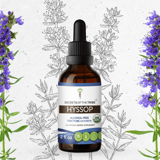 Secrets Of The Tribe Hyssop Tincture buy online 