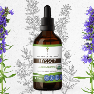 Secrets Of The Tribe Hyssop Tincture buy online 