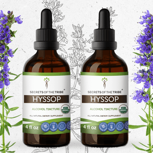 Secrets Of The Tribe Hyssop Tincture buy online 