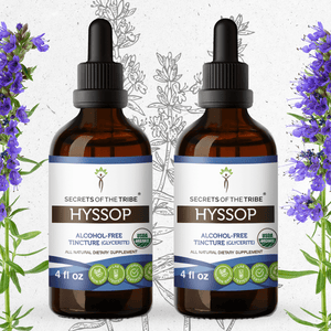 Secrets Of The Tribe Hyssop Tincture buy online 