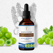 Load image into Gallery viewer, Secrets Of The Tribe Indian Gooseberry Tincture buy online 