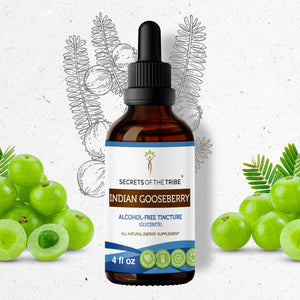 Secrets Of The Tribe Indian Gooseberry Tincture buy online 