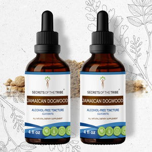 Secrets Of The Tribe Jamaican Dogwood Tincture buy online 