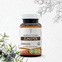 Load image into Gallery viewer, Secrets Of The Tribe Juniper Capsules buy online 