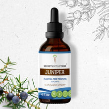 Load image into Gallery viewer, Secrets Of The Tribe Juniper Tincture buy online 