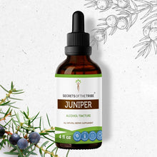 Load image into Gallery viewer, Secrets Of The Tribe Juniper Tincture buy online 
