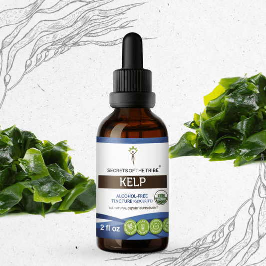 Secrets Of The Tribe Kelp Tincture buy online 