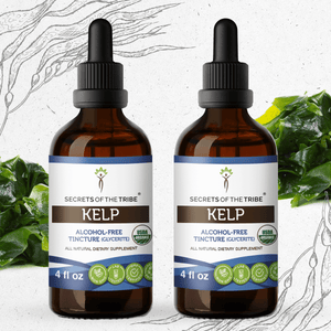 Secrets Of The Tribe Kelp Tincture buy online 