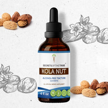 Load image into Gallery viewer, Secrets Of The Tribe Kola Nut Tincture buy online 