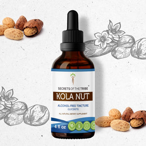 Secrets Of The Tribe Kola Nut Tincture buy online 