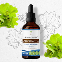 Load image into Gallery viewer, Secrets Of The Tribe Lady&#39;s Mantle Tincture buy online 