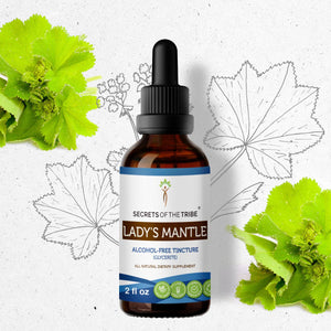 Secrets Of The Tribe Lady's Mantle Tincture buy online 