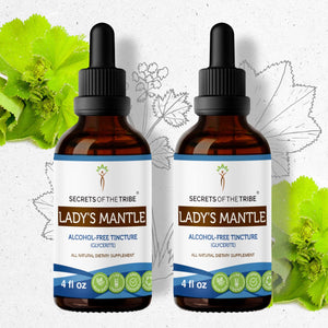 Secrets Of The Tribe Lady's Mantle Tincture buy online 