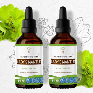 Secrets Of The Tribe Lady's Mantle Tincture buy online 