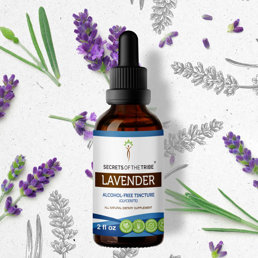 Secrets Of The Tribe Lavender Tincture buy online 