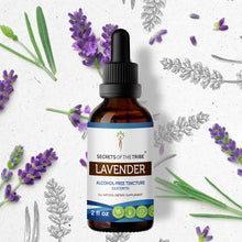 Load image into Gallery viewer, Secrets Of The Tribe Lavender Tincture buy online 