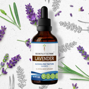 Secrets Of The Tribe Lavender Tincture buy online 
