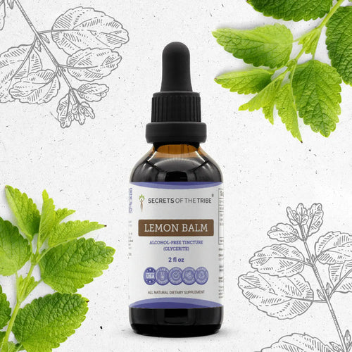 Secrets Of The Tribe Lemon Balm Tincture buy online 