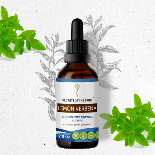 Secrets Of The Tribe Lemon Verbena Tincture buy online 