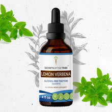 Load image into Gallery viewer, Secrets Of The Tribe Lemon Verbena Tincture buy online 