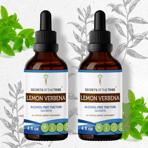 Secrets Of The Tribe Lemon Verbena Tincture buy online 