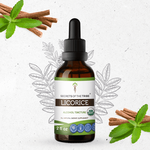 Secrets Of The Tribe Licorice Tincture buy online 