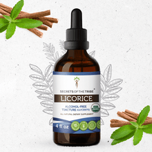 Load image into Gallery viewer, Secrets Of The Tribe Licorice Tincture buy online 