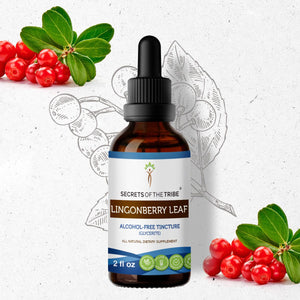 Secrets Of The Tribe Lingonberry Leaf Tincture buy online 