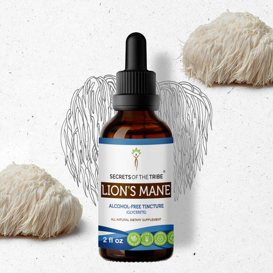 Secrets Of The Tribe Lion's Mane Tincture buy online 