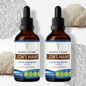 Secrets Of The Tribe Lion's Mane Tincture buy online 