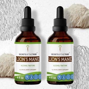 Secrets Of The Tribe Lion's Mane Tincture buy online 