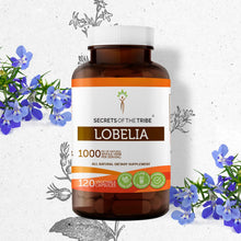 Load image into Gallery viewer, Secrets Of The Tribe Lobelia Capsules buy online 