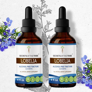 Secrets Of The Tribe Lobelia Tincture buy online 