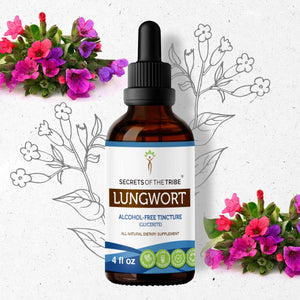 Secrets Of The Tribe Lungwort Tincture buy online 