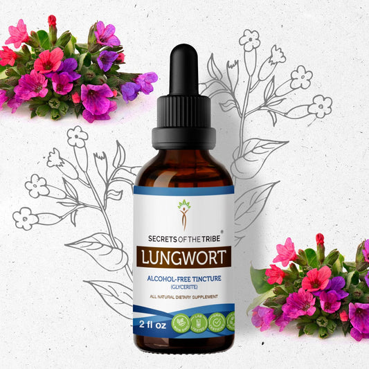 Secrets Of The Tribe Lungwort Tincture buy online 