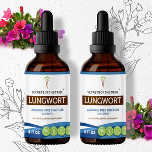 Secrets Of The Tribe Lungwort Tincture buy online 