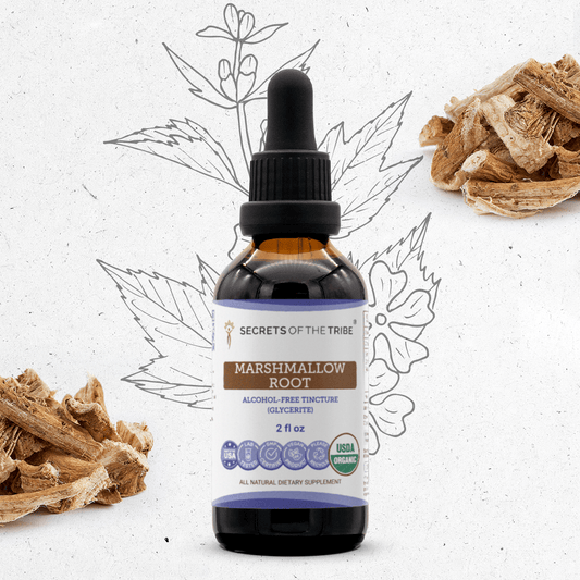 Secrets Of The Tribe Marshmallow Root Tincture buy online 