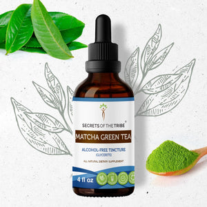 Secrets Of The Tribe Matcha Green Tea Tincture buy online 