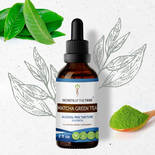 Secrets Of The Tribe Matcha Green Tea Tincture buy online 