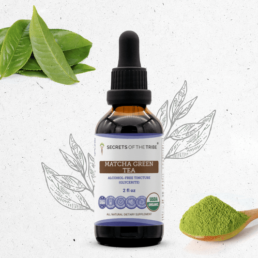 Secrets Of The Tribe Matcha Green Tea Tincture buy online 