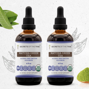 Secrets Of The Tribe Matcha Green Tea Tincture buy online 