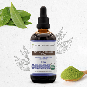 Secrets Of The Tribe Matcha Green Tea Tincture buy online 