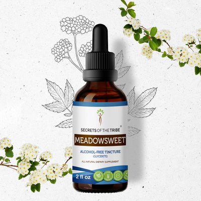 Buy Meadowsweet Tincture online - Secrets Of The Tribe